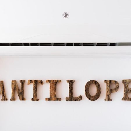 شقة Antilope ألغاروبو - كوستا المظهر الخارجي الصورة